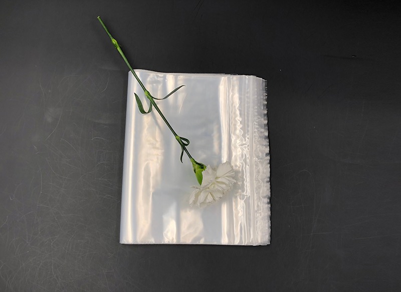 food storage bag