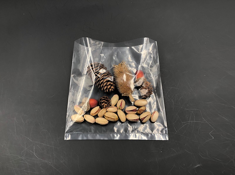 flat open bag
