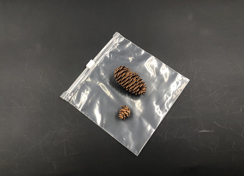 slider bag
