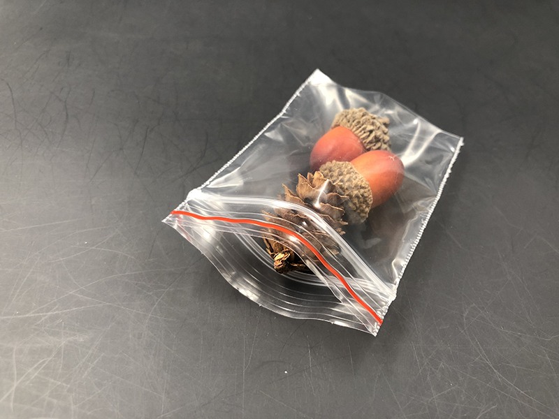 ziplock bag