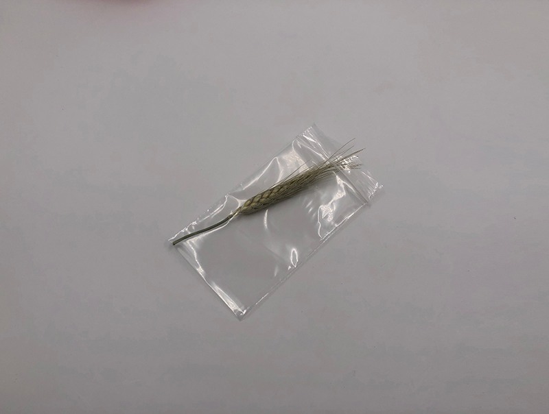 food storage bag